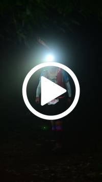 BIB:  <button type="button" onclick="openModal(27808706)" class="btn btn-primary btn-sm float-right" data-toggle="modal" data-target=".modal-high-quality">
                <i class="fa fa-download"></i> Download
                </button>